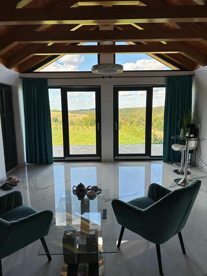 Casa Moderna In Sinteu - Intersectia Intre Modern Si Linistea Naturii Huta Voivozi Bagian luar foto